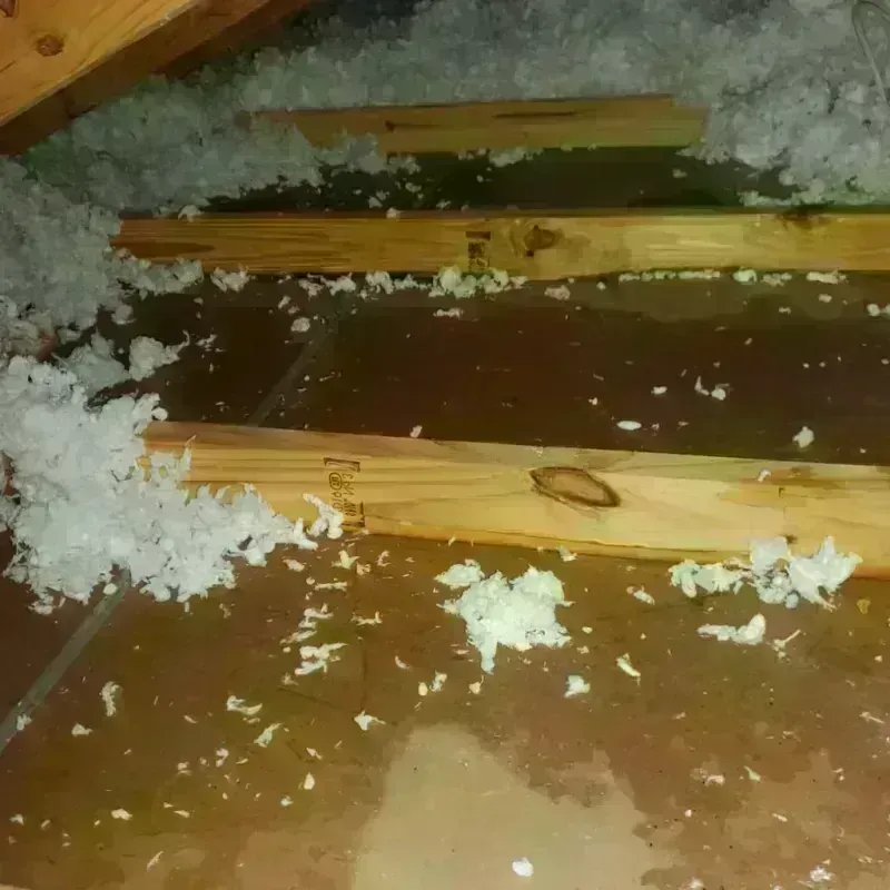 Attic Water Damage in Port Ewen, NY